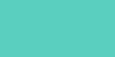 項目服務(wù)